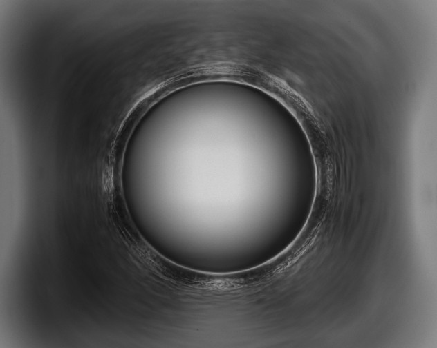 X0000097801166200803201351