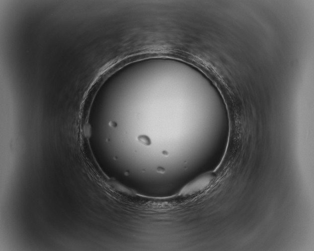 X0000097801168200803201351