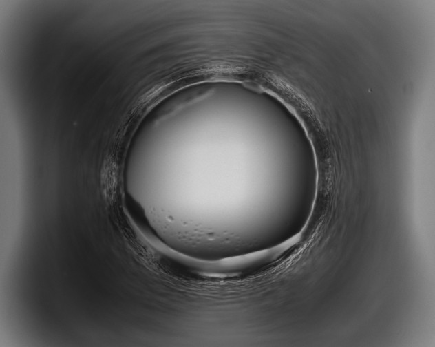 X0000097801169200803201351