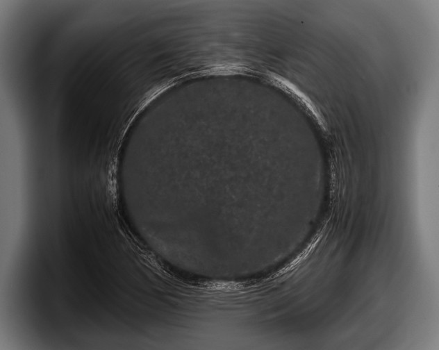 X0000097801170200803201351