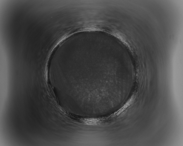 X0000097801173200803201351