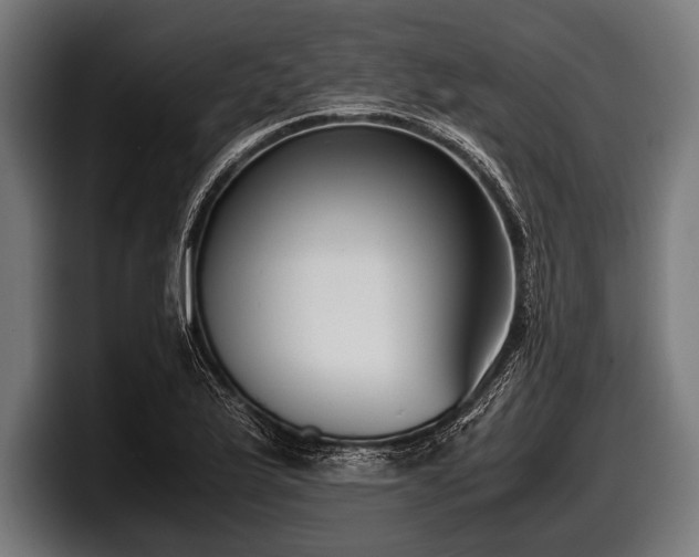 X0000097801175200803201351