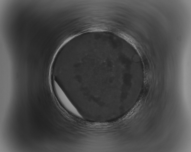 X0000097801179200803201351