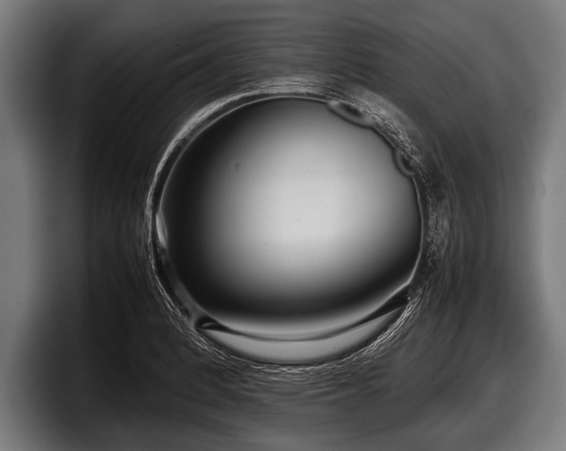 X0000097801184200803201351