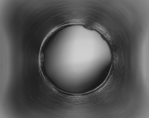 X0000097801188200803201351