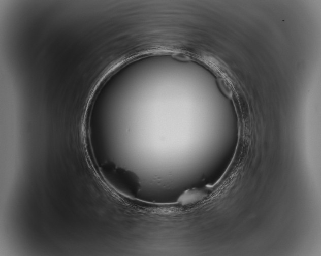 X0000097801189200803201351