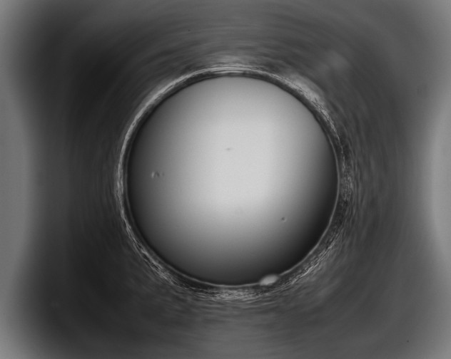 X0000097801191200803201351