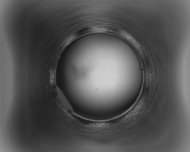 X0000097801193200803201351