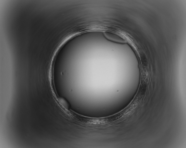 X0000097801195200803201351