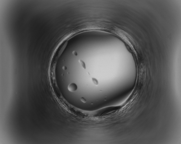 X0000097801197200803201351