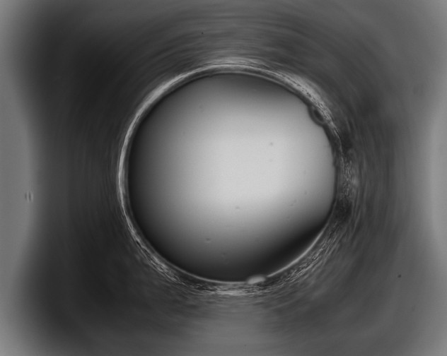 X0000097801199200803201351