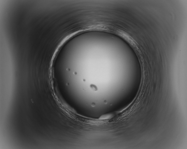 X0000097801200200803201350