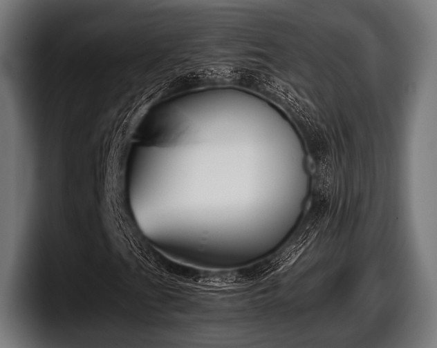 X0000097801201200803201350