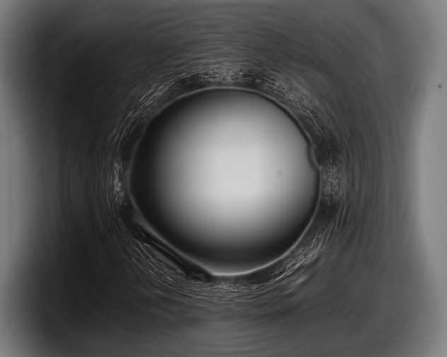 X0000097801202200803201350