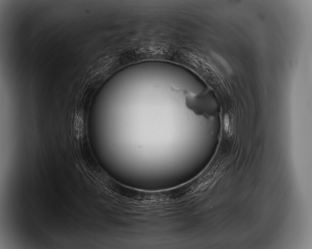 X0000097801203200803201350