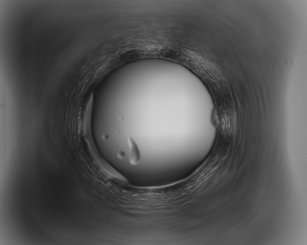 X0000097801204200803201350