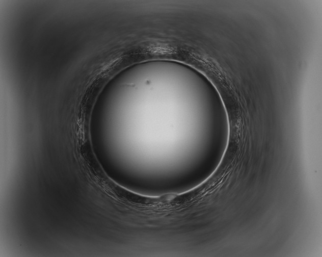 X0000097801205200803201350