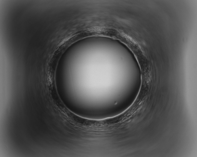 X0000097801206200803201350