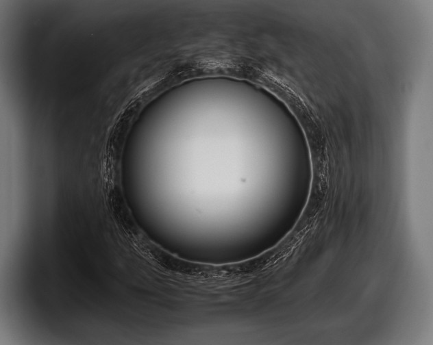 X0000097801207200803201350