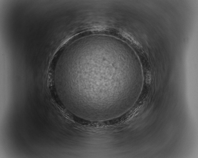 X0000097801208200803201350