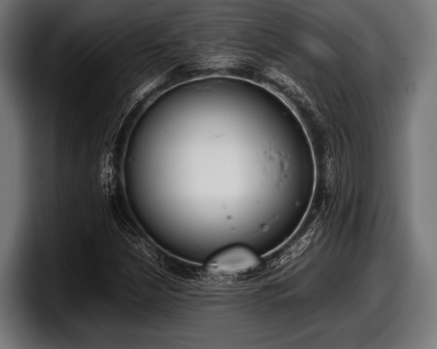 X0000097801210200803201350