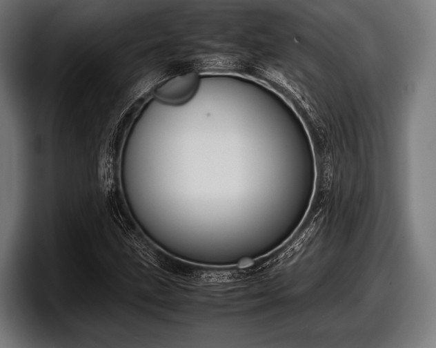 X0000097801211200803201350