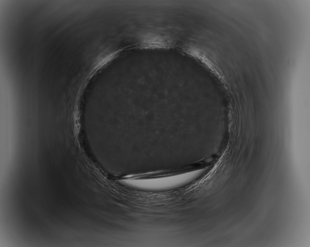 X0000097801213200803201350