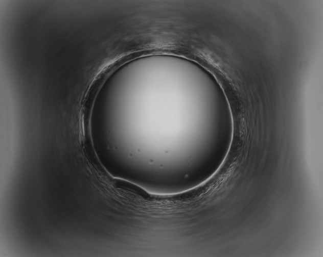 X0000097801214200803201350