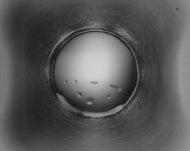 X0000097801216200803201350