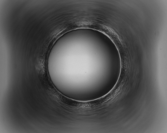 X0000097801217200803201350