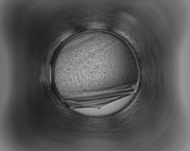 X0000097801219200803201350