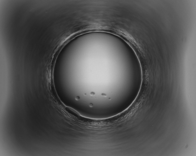 X0000097801220200803201350