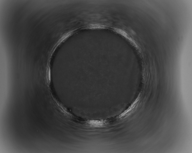 X0000097801221200803201350