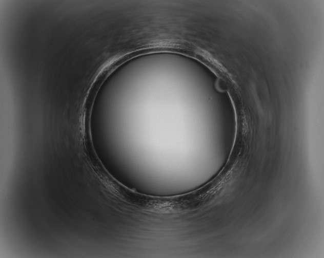 X0000097801222200803201350