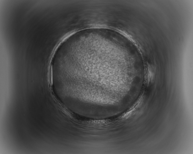 X0000097801223200803201350