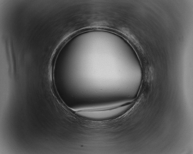 X0000097801224200803201350