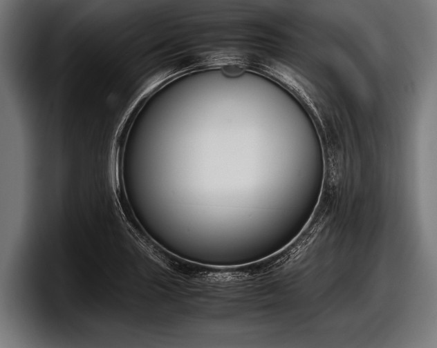 X0000097801227200803201350