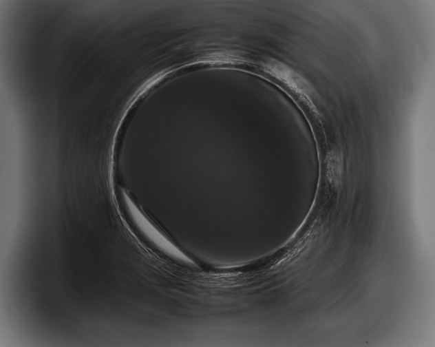 X0000097801229200803201350