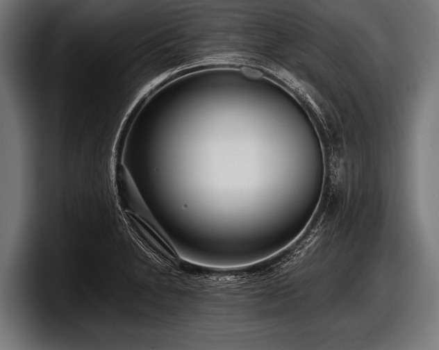 X0000097801230200803201350