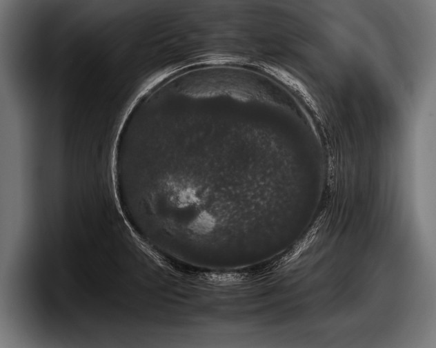 X0000097801231200803201350