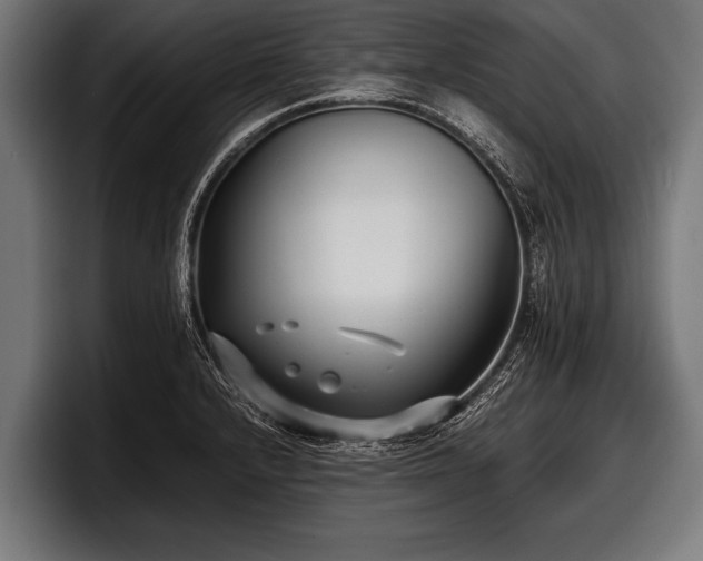 X0000097801232200803201350