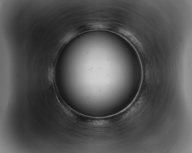 X0000097801233200803201350