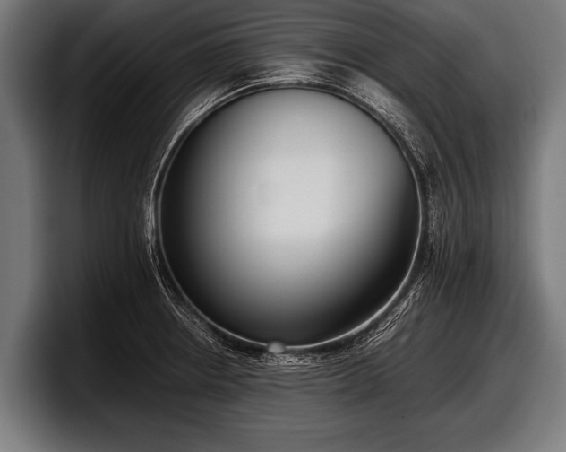 X0000097801234200803201350