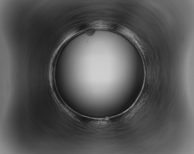 X0000097801235200803201350