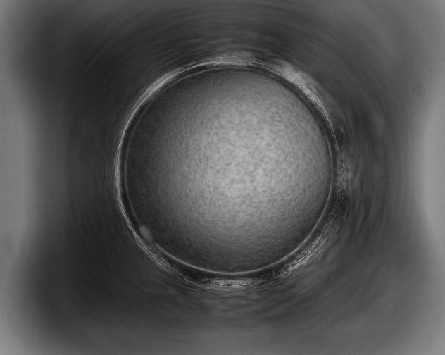 X0000097801237200803201350