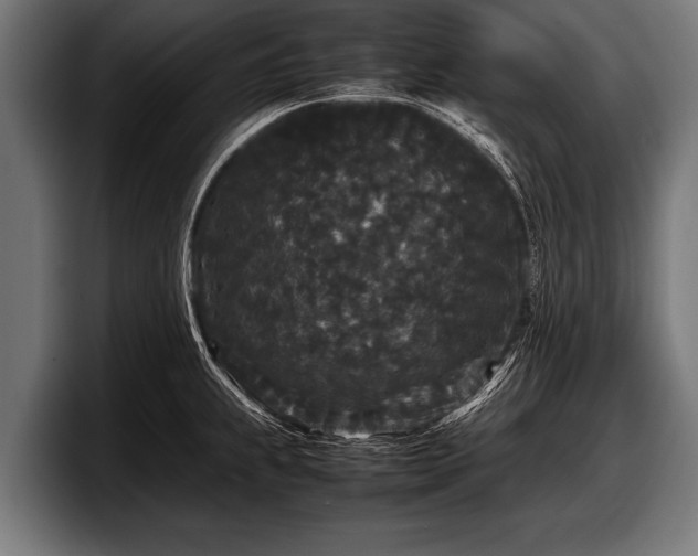 X0000097801239200803201350