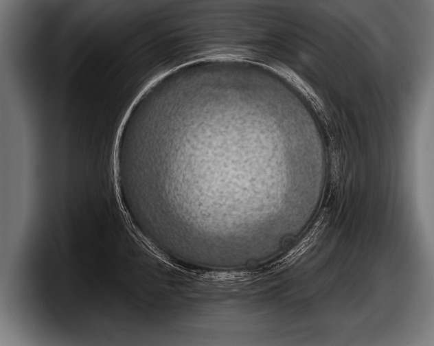 X0000097801240200803201350