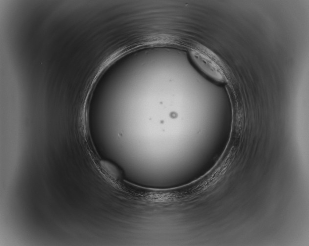 X0000097801242200803201350