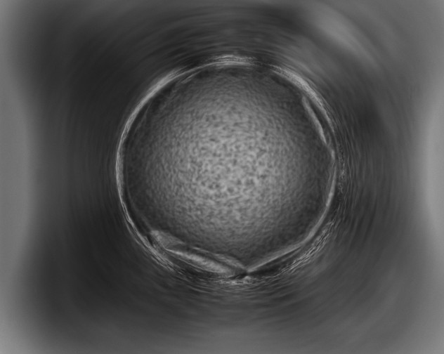 X0000097801243200803201350