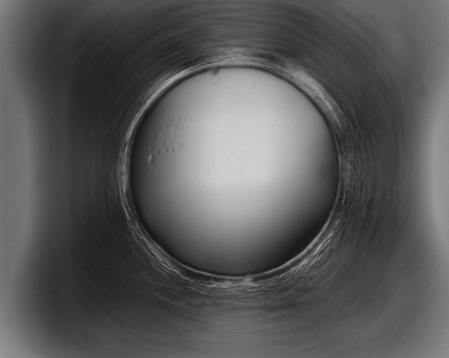 X0000097801244200803201350